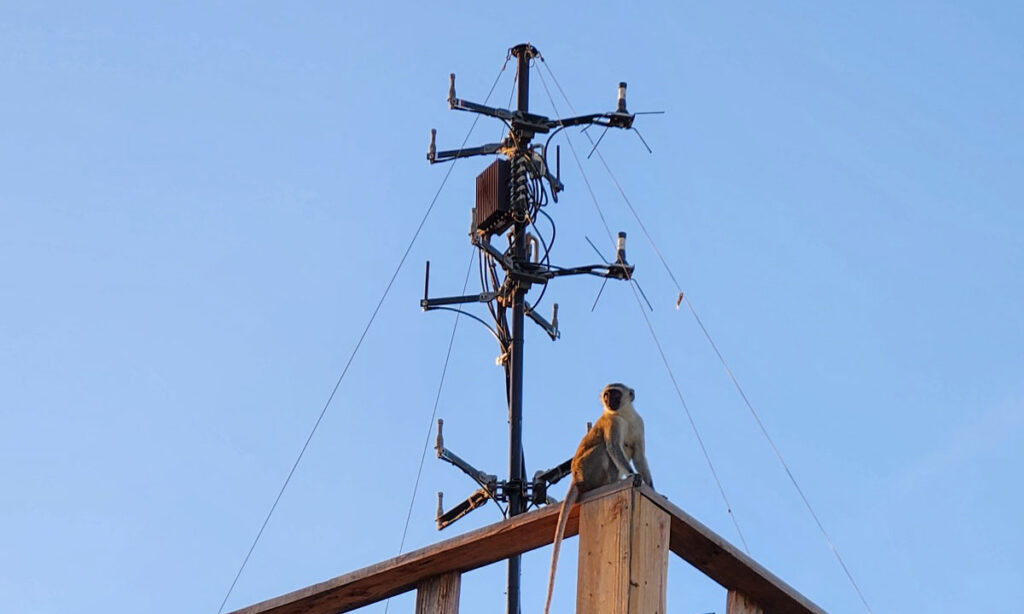 Ninja system deployed for operational field assessment